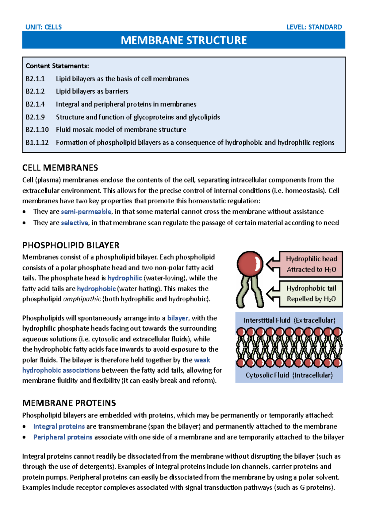 Understanding Cell Membrane Structure & Function (Bio B2.1) - Studocu