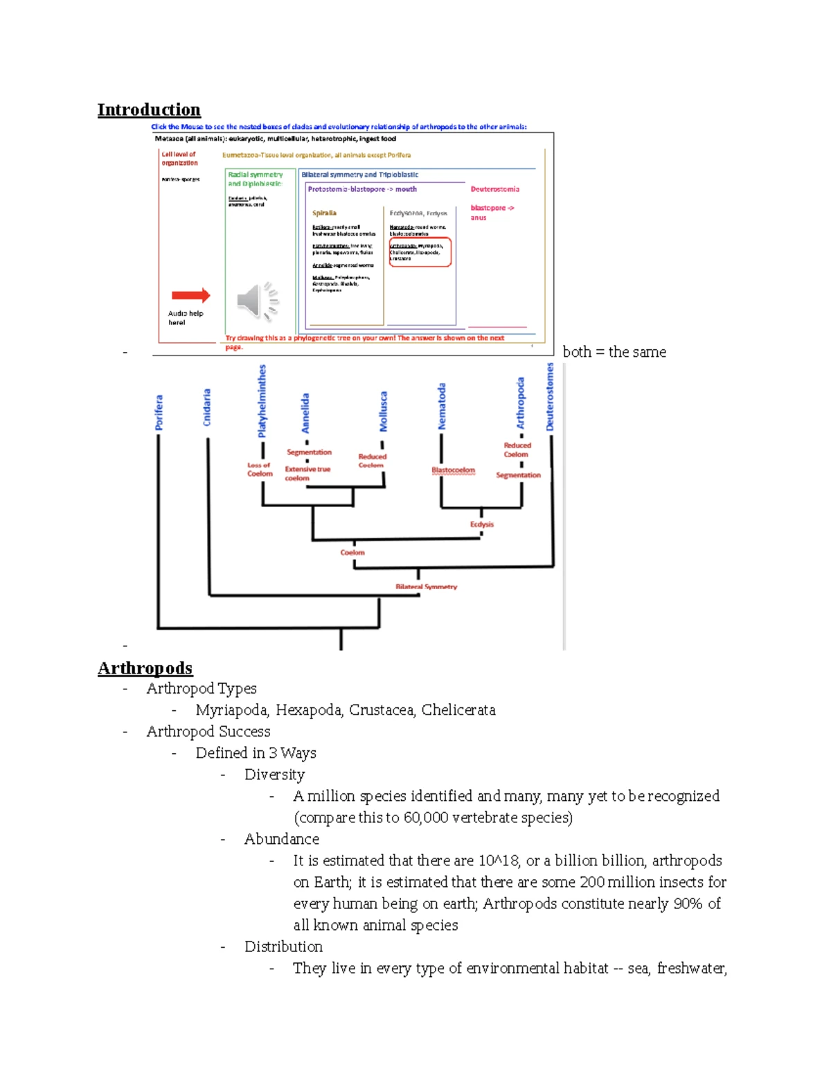 Lab 9 Echinodermata Notes - Lab 9: Echinodermata Notes Echinoderm ...