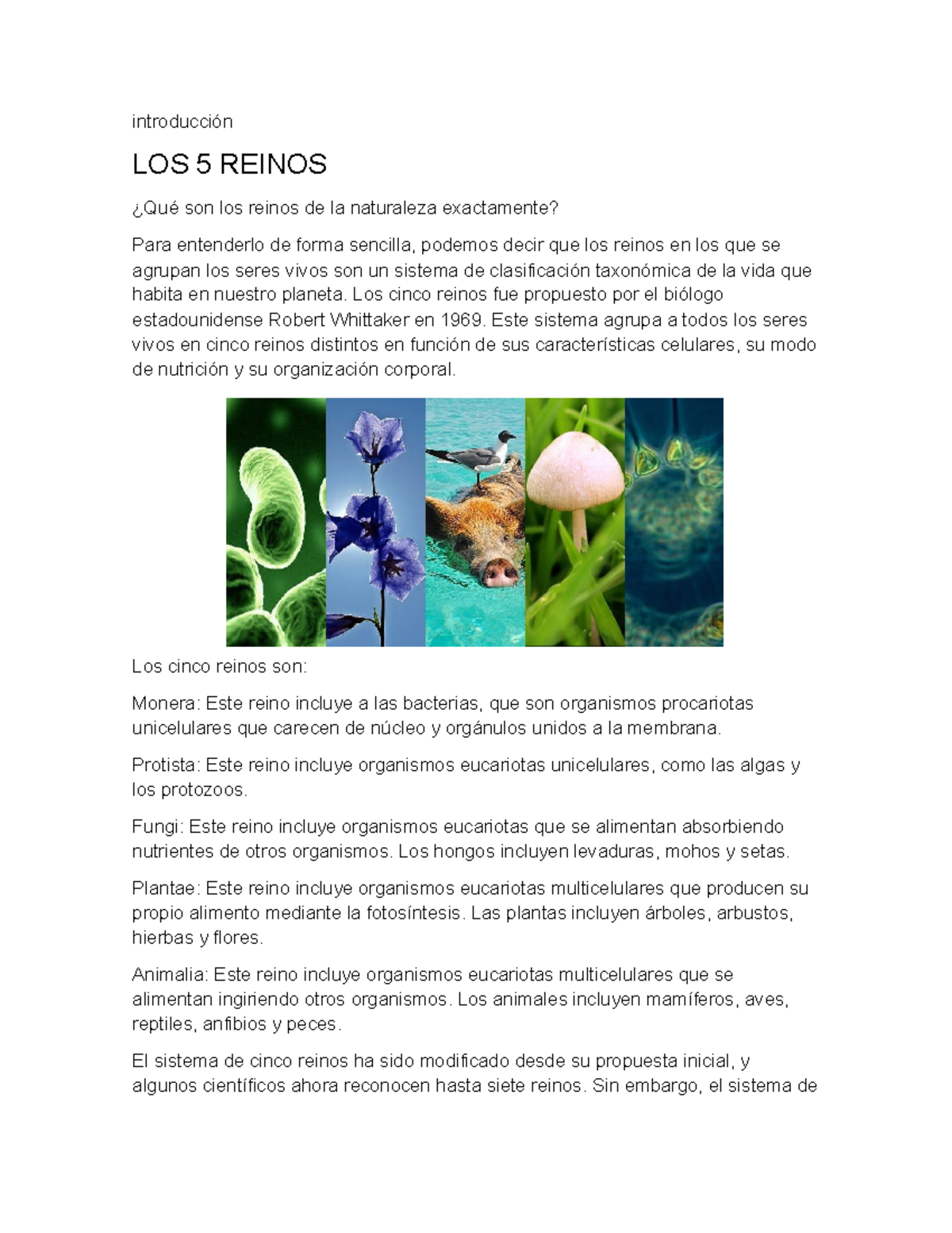 Introducción al Reino Monera: Clasificación y Características - Studocu