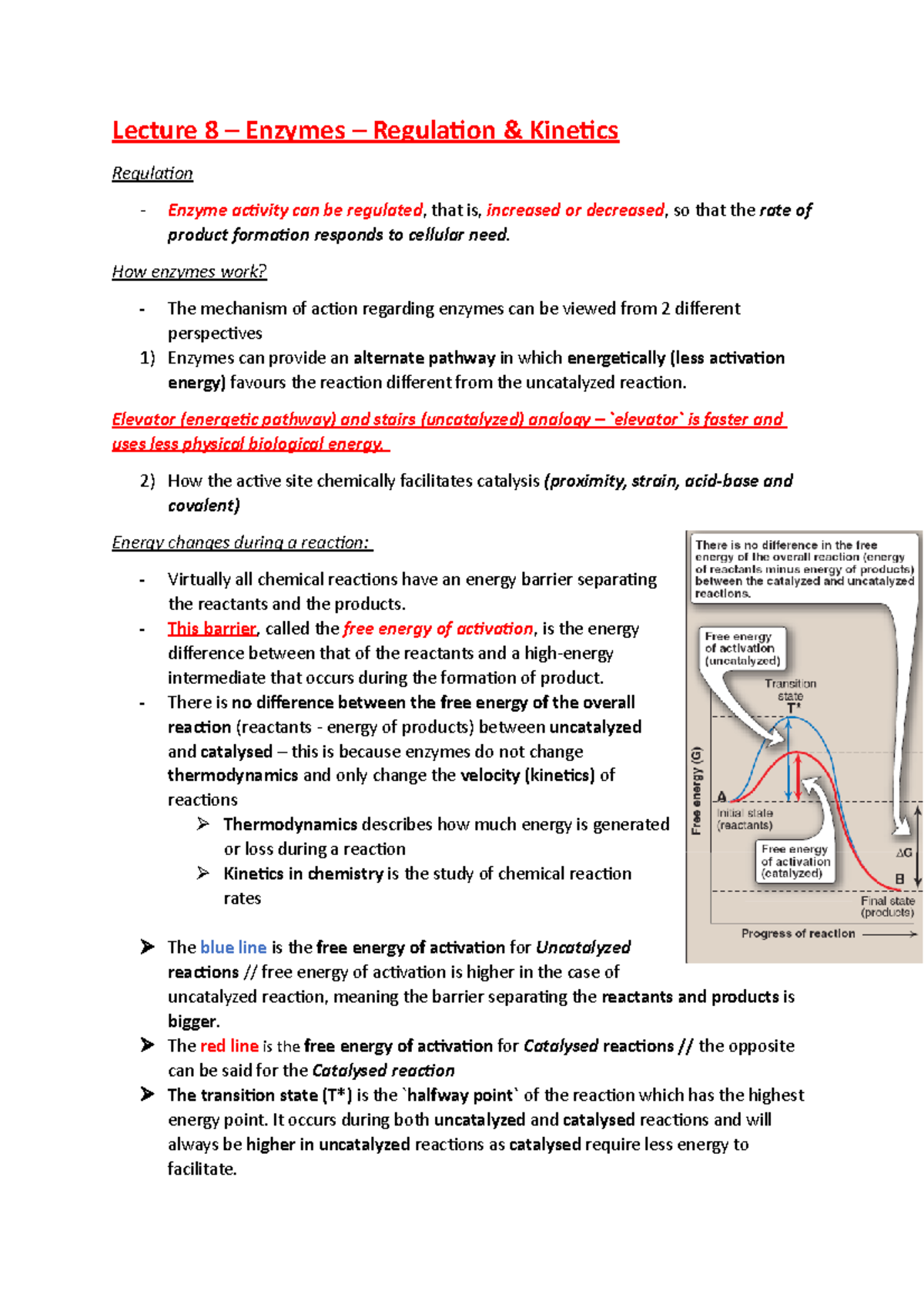 Life Science 1 - Lecture 8: Regulation & Kinetics of Enzymes - Studocu