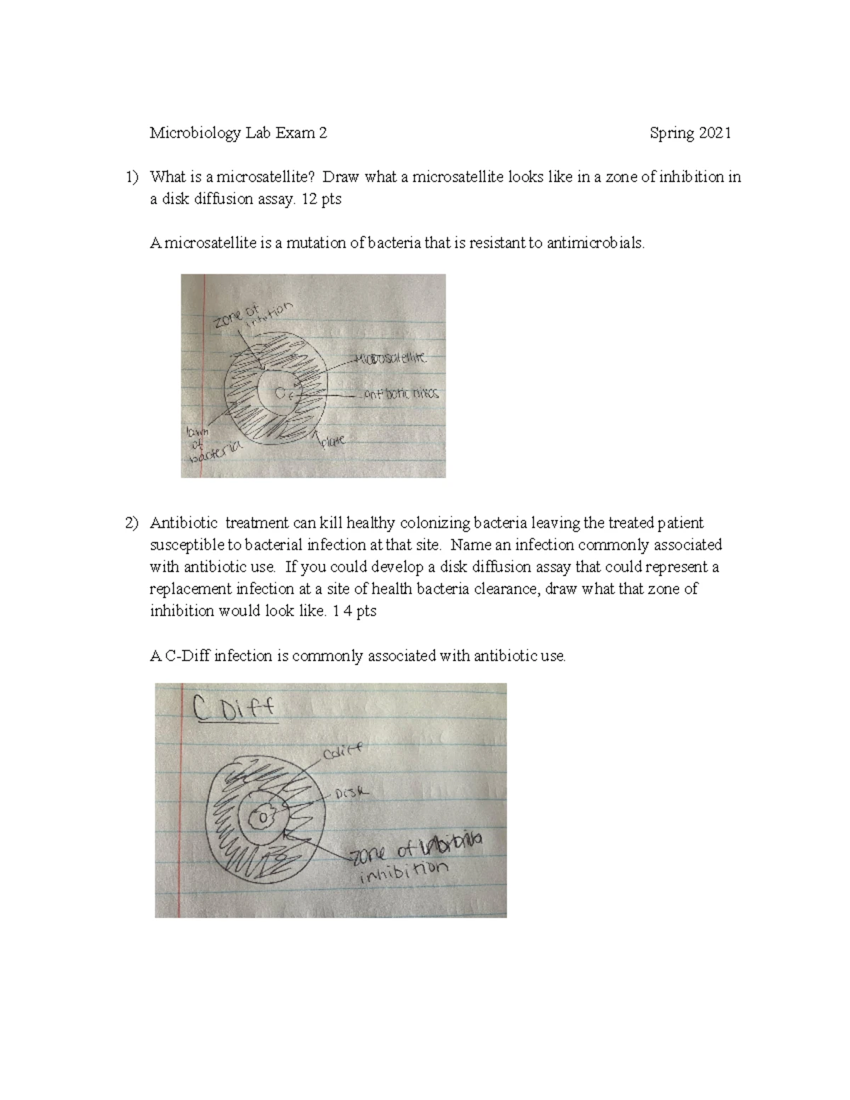 Microbiology Lab Exam 2 Study Notes - Esther Zhang - Studocu