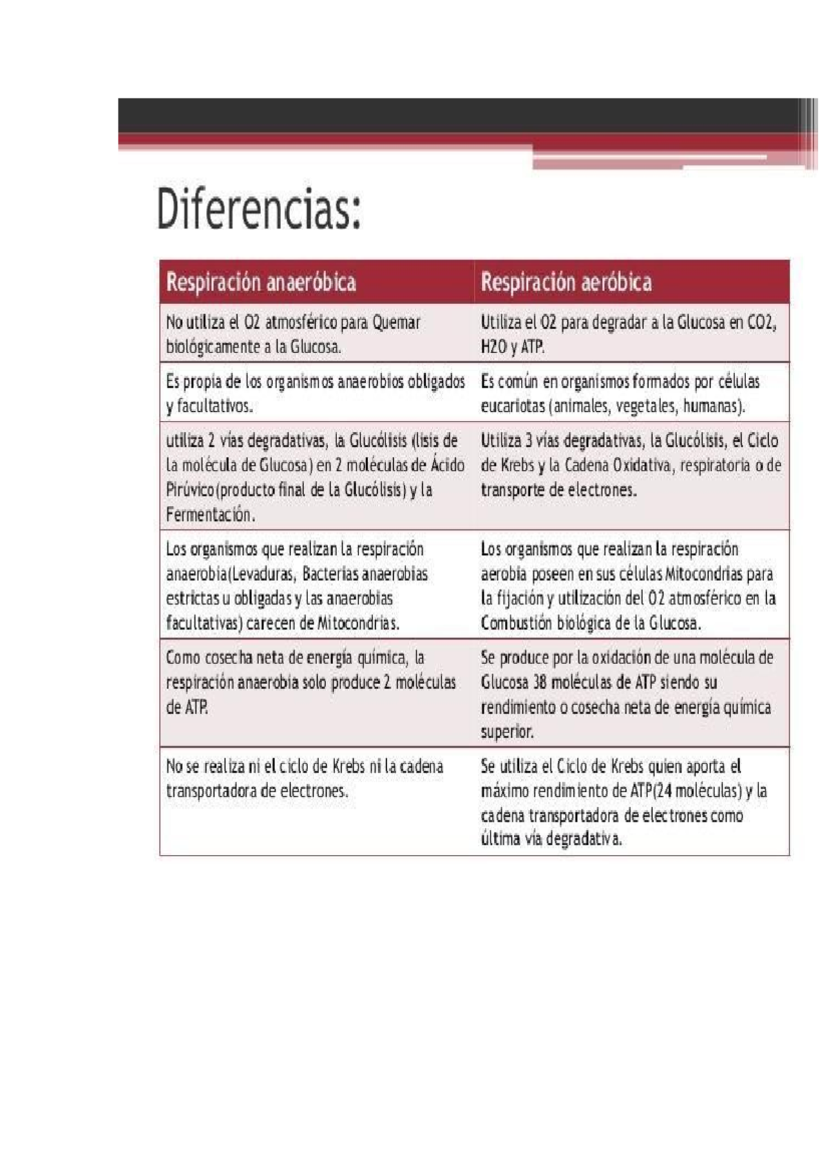 Cadena De Transporte De Electrones De La Respiración Anaeróbica
