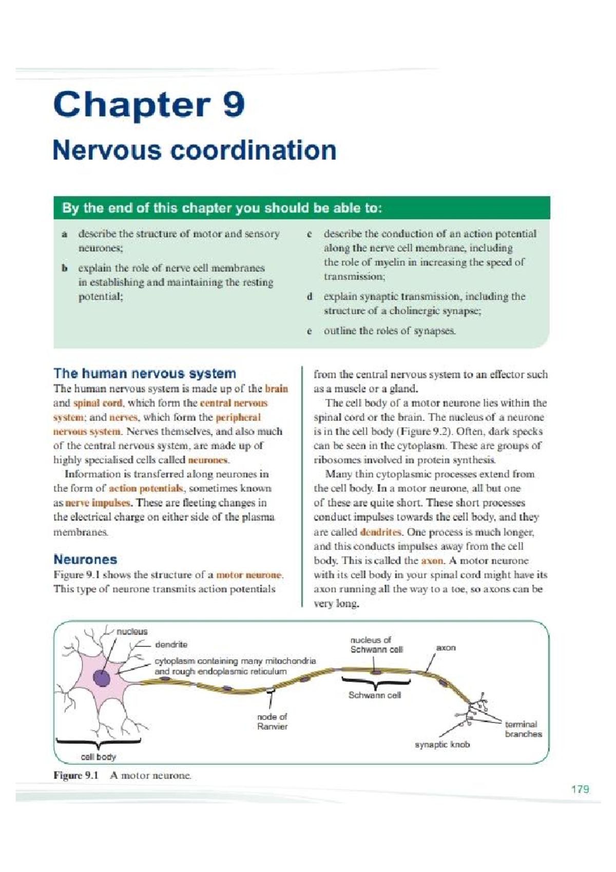 Bio 101 Chapter 9: Nervous Coordination and Action Potentials - Studocu