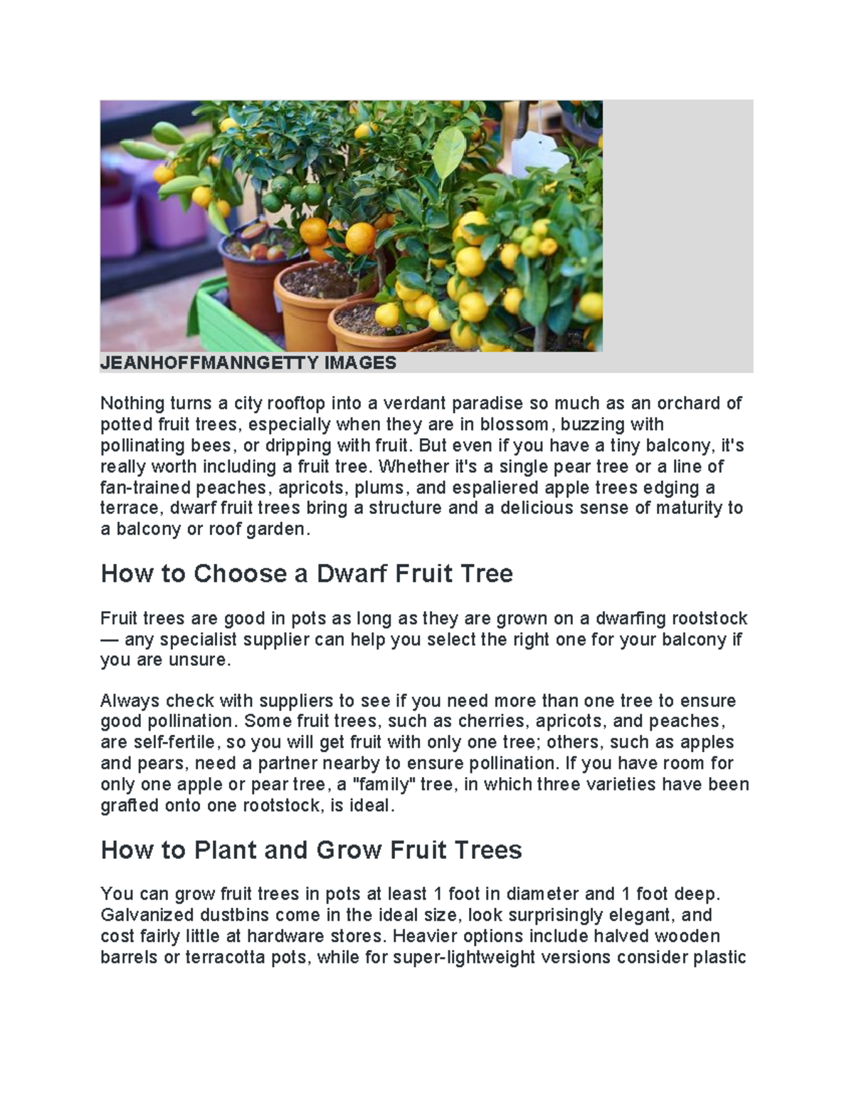 Fruit Trees That Can Be Potted: A Guide to Dwarf Varieties - Studocu