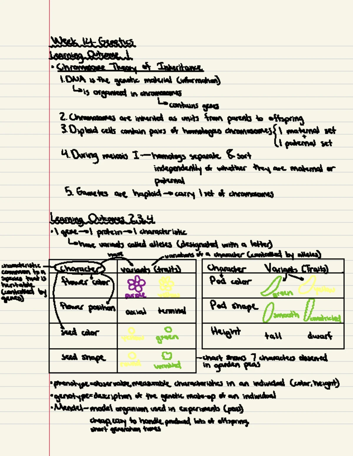 BIO250L+V2+Lab+1 - notes - Student Name: Click here to enter text ...