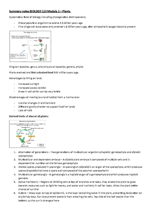 BIOL113 2025 2 Plants - Lecture slides 2 - Classification: In ...
