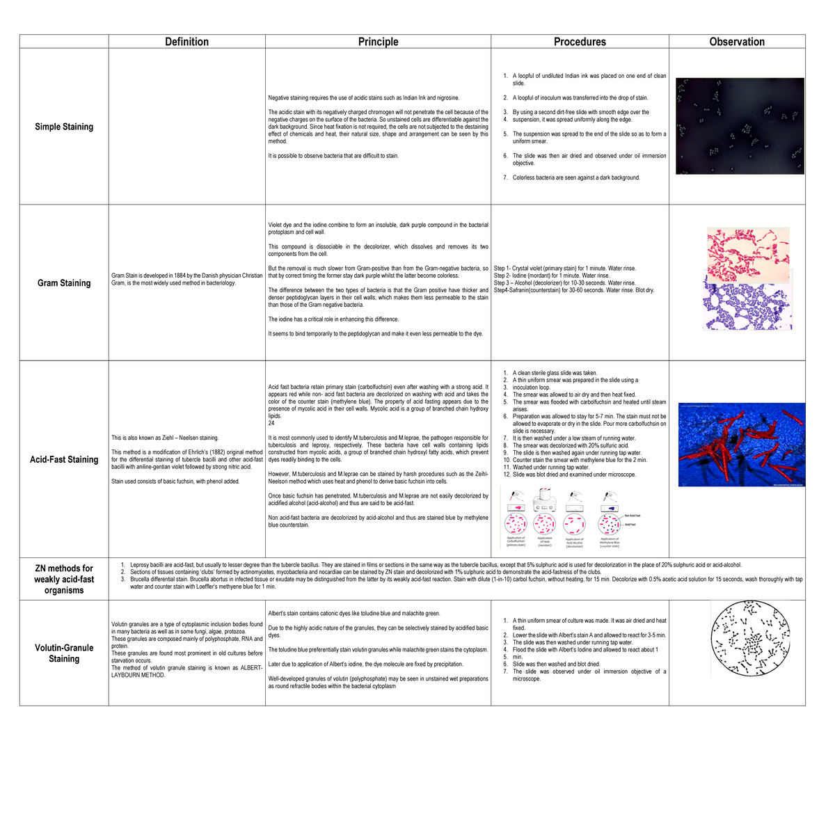 Staining Techniques - Definition Principle Procedures Observation ...