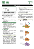 Cytogenetic - MT 104 - Studocu