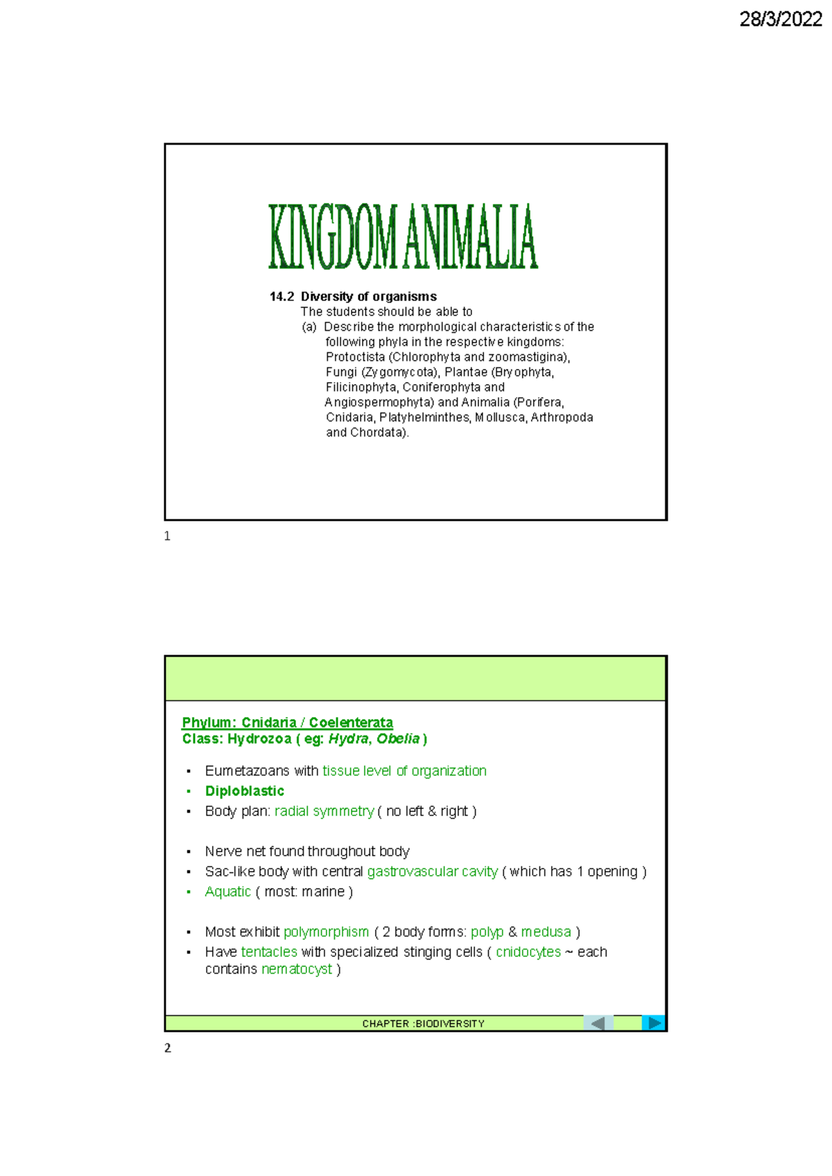 14.2 Diversity of Organisms: Cnidaria (Animalia) Notes for Study - Studocu