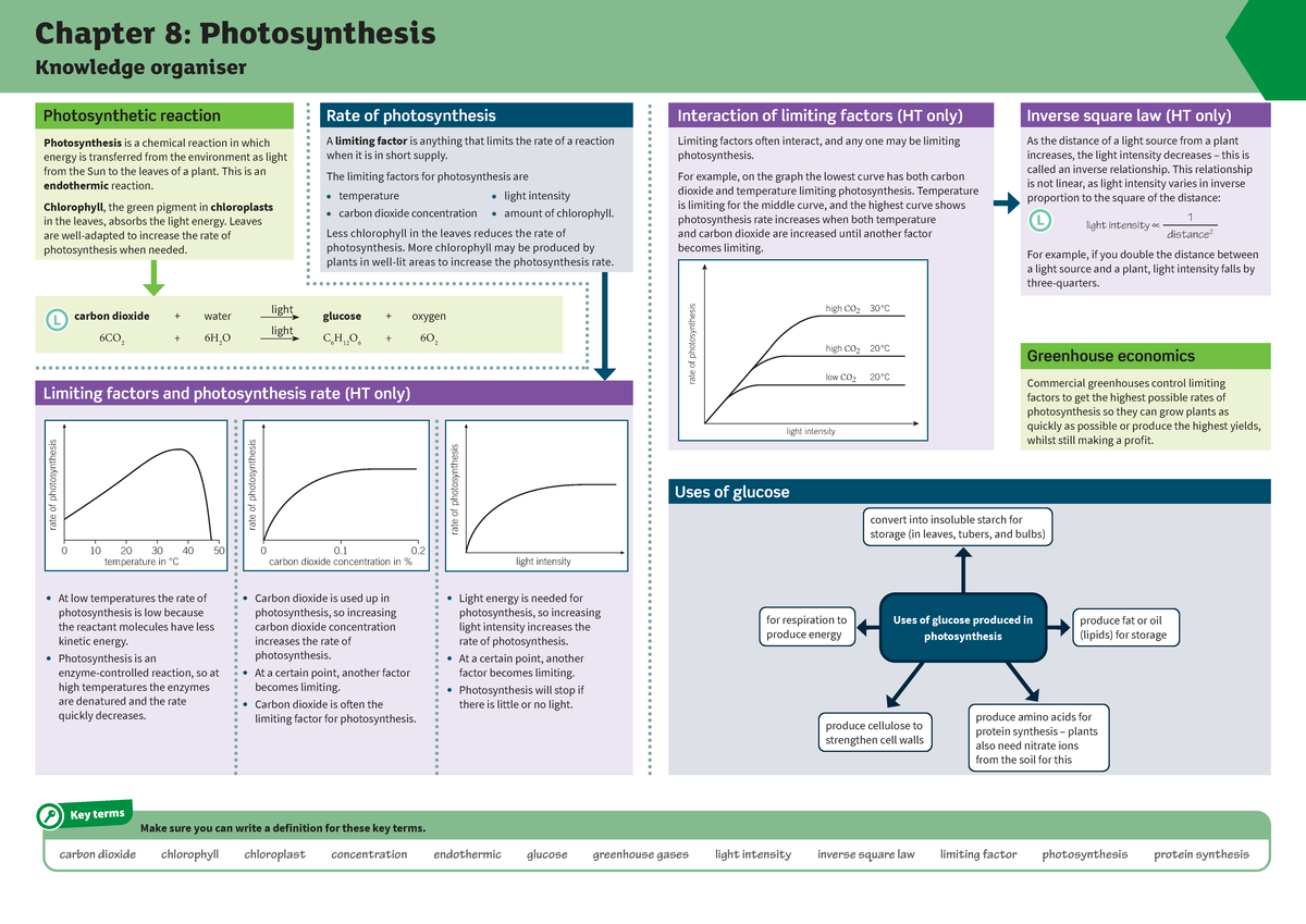 B8: Photosynthesis Chapter 8 Knowledge Organizer & Key Concepts - Studocu