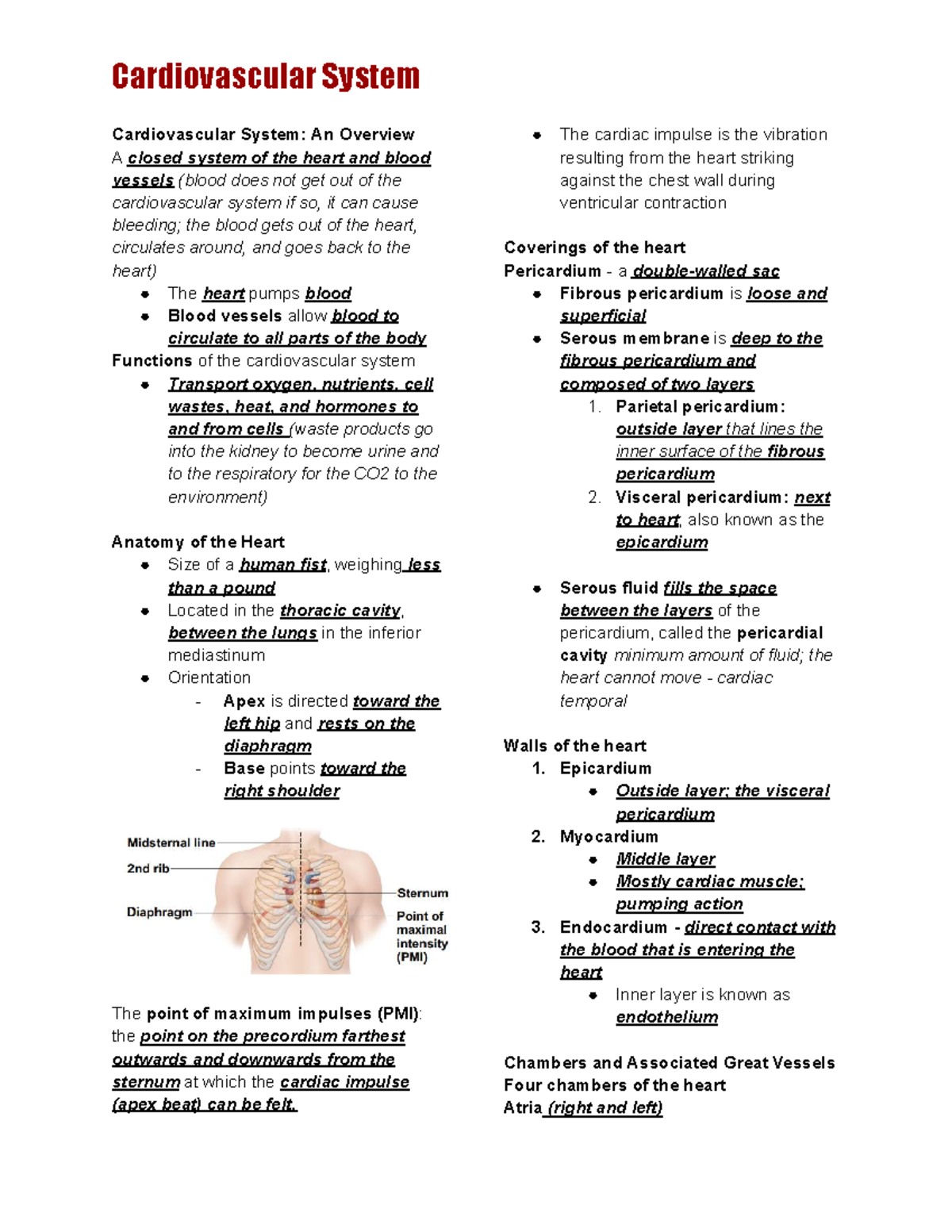 Cardiovascular System Overview - ANAP 101 Lecture Notes - Studocu