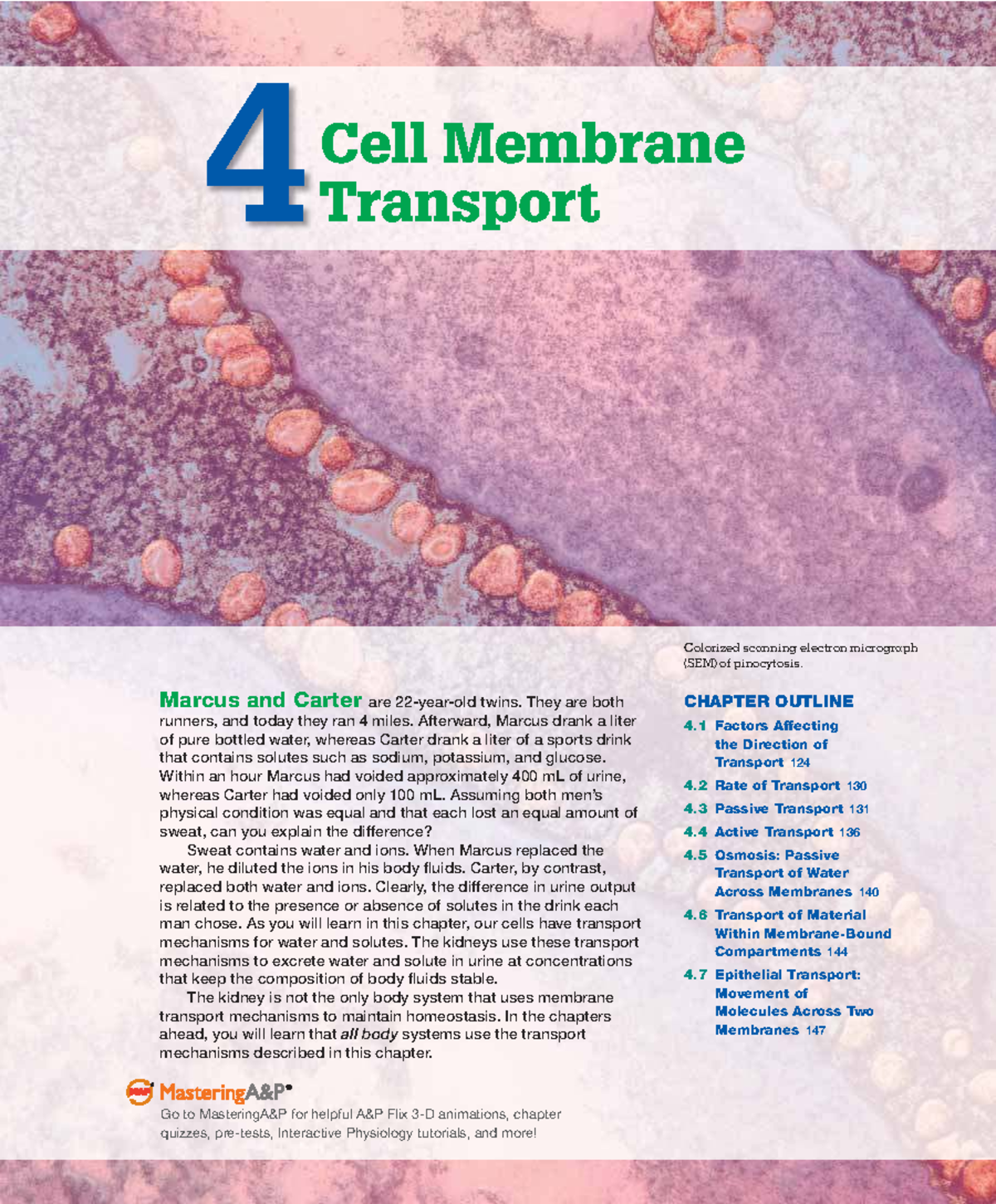 Chapter Overview: Membrane Transport Mechanisms (BIO 101) - Studocu