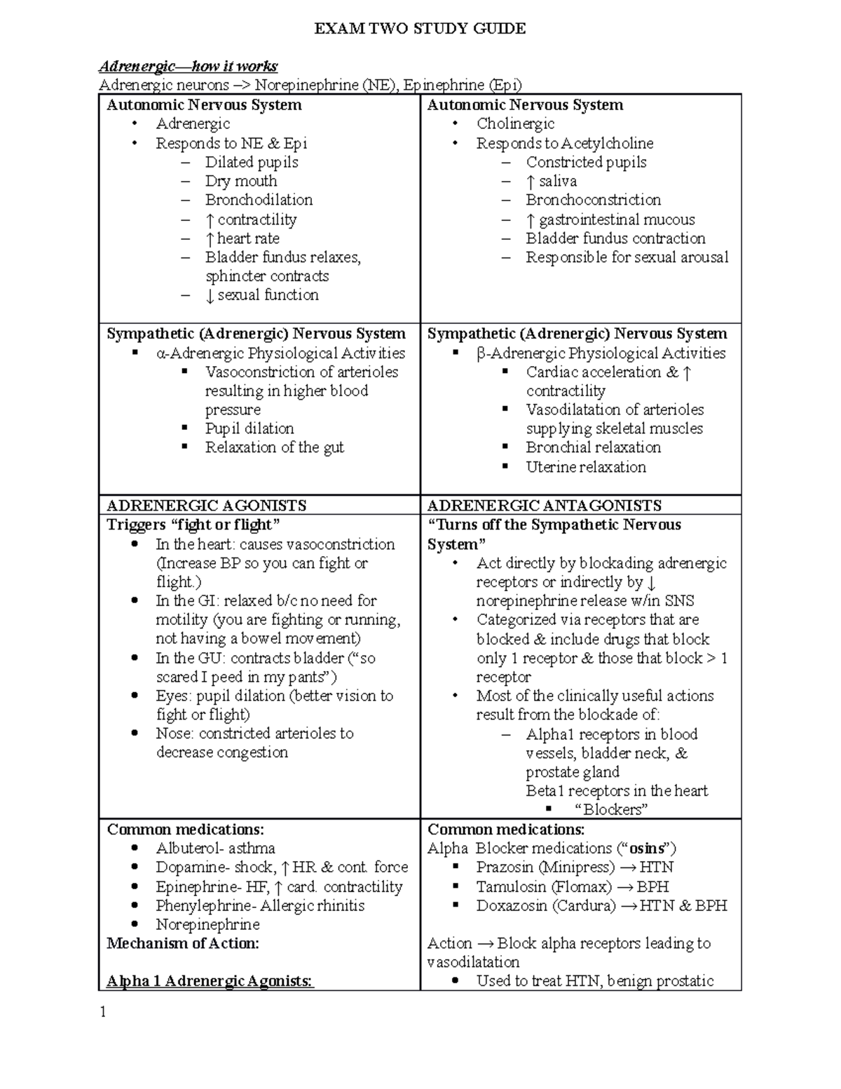 PHARM 301: Exam 2 Study Guide on Autonomic Nervous System Functions ...