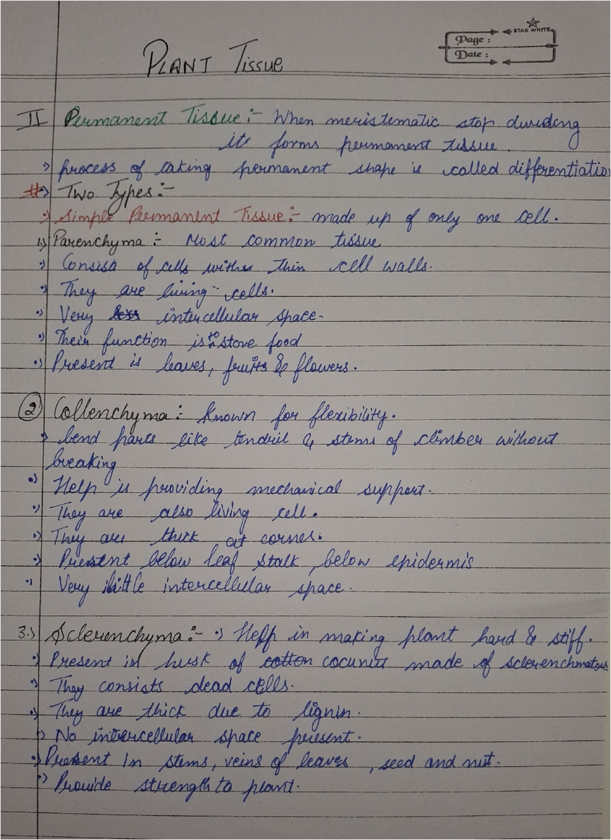 Permanent tissue - These are hand written notes - STAR WHITE Page ...