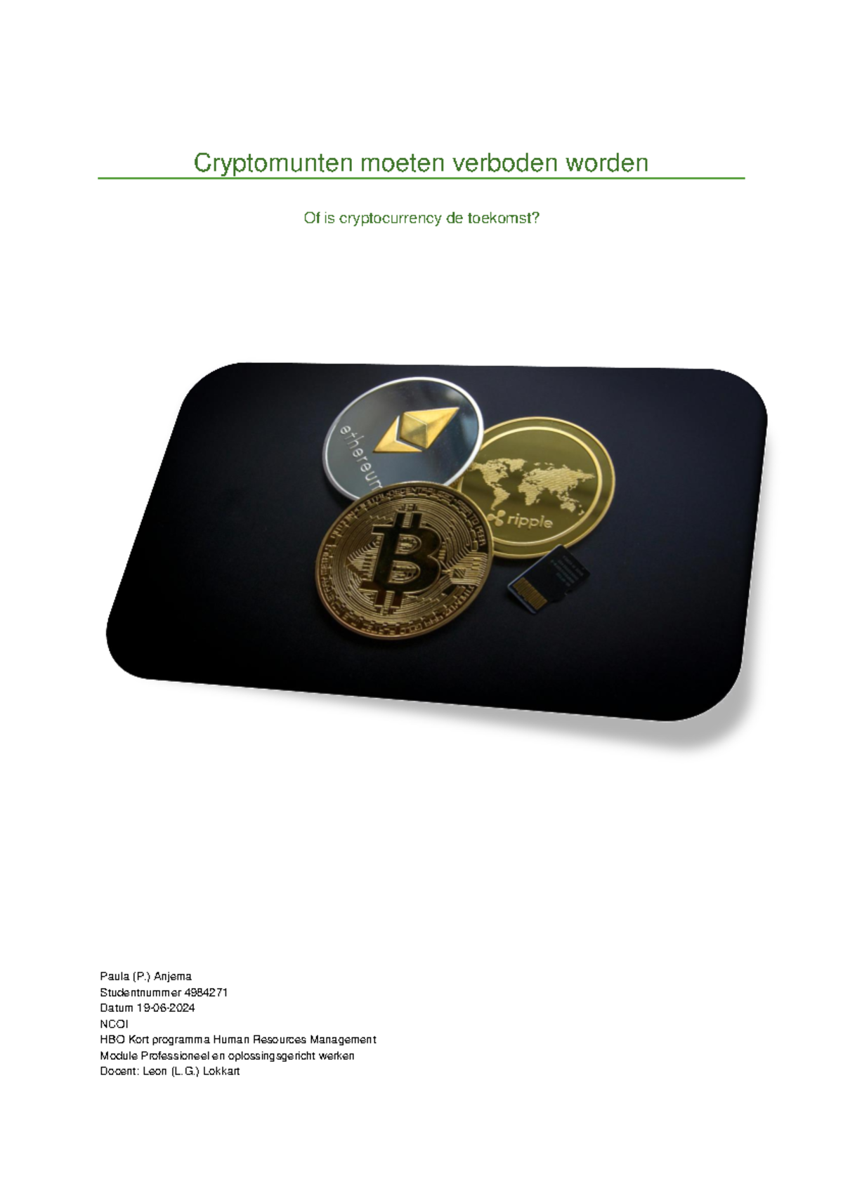 Module Professioneel en Oplossingsgericht Werken - Cryptomunten: Verboden  of de Toekomst? - Studeersnel