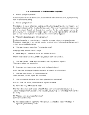 Lab 2 Microscope Answer Sheet - Lab 2 Microscope Assignment 1. After ...