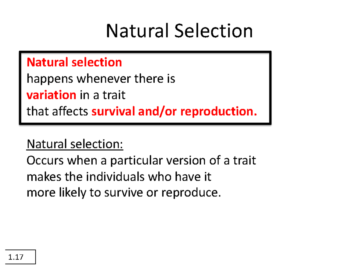 Lecture Notes on Natural Selection and Evolution - Studocu