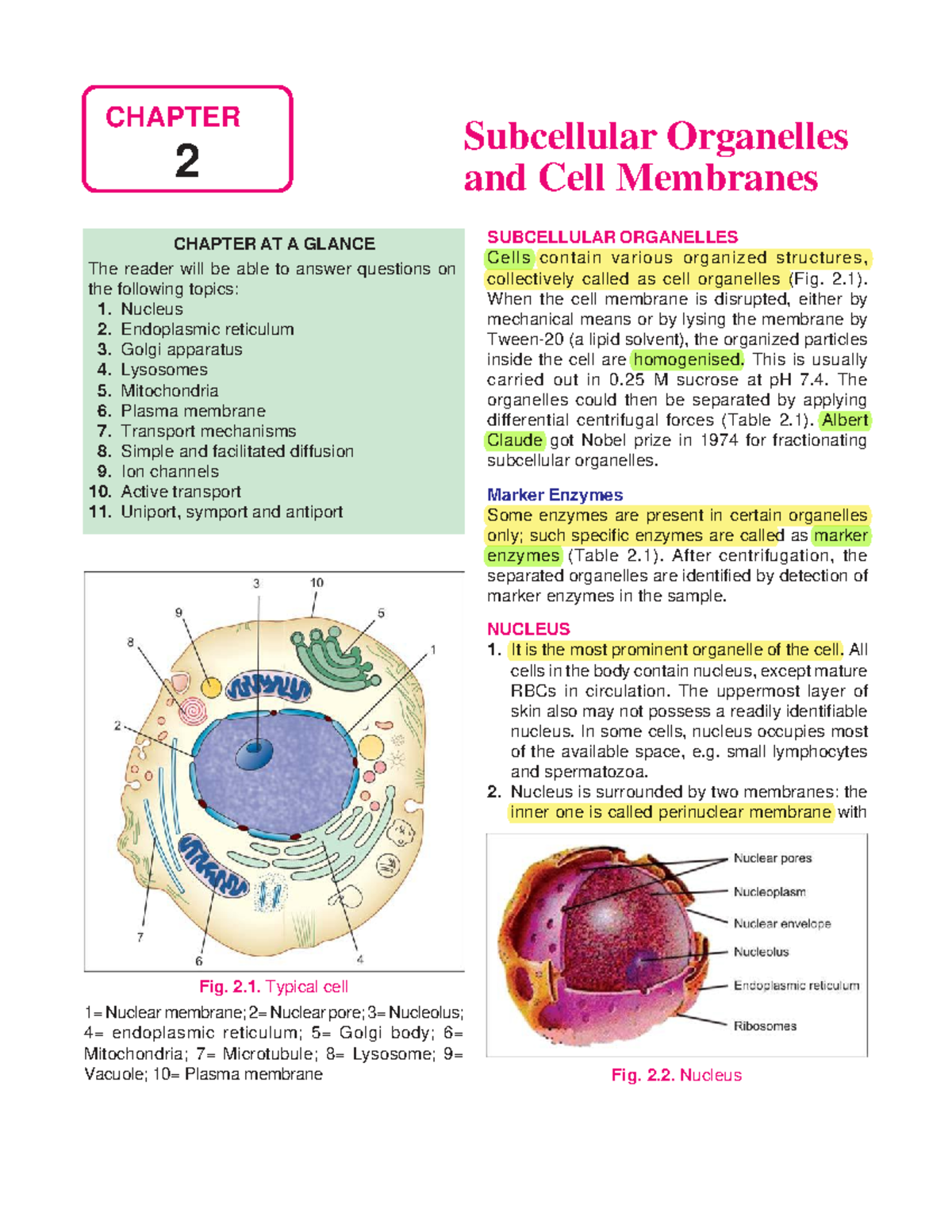 Biochemistry CHAPTER 2: Subcellular Organelles & Cell Membranes ...