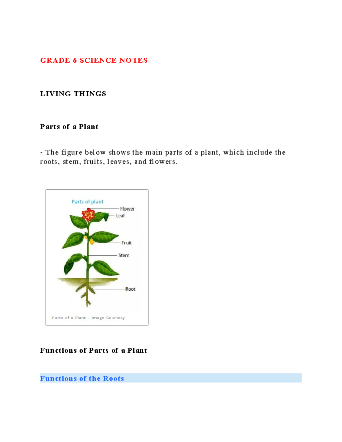 Grade 6 science and technology topical notes 22 24 jan 12 21 11 - GRADE ...