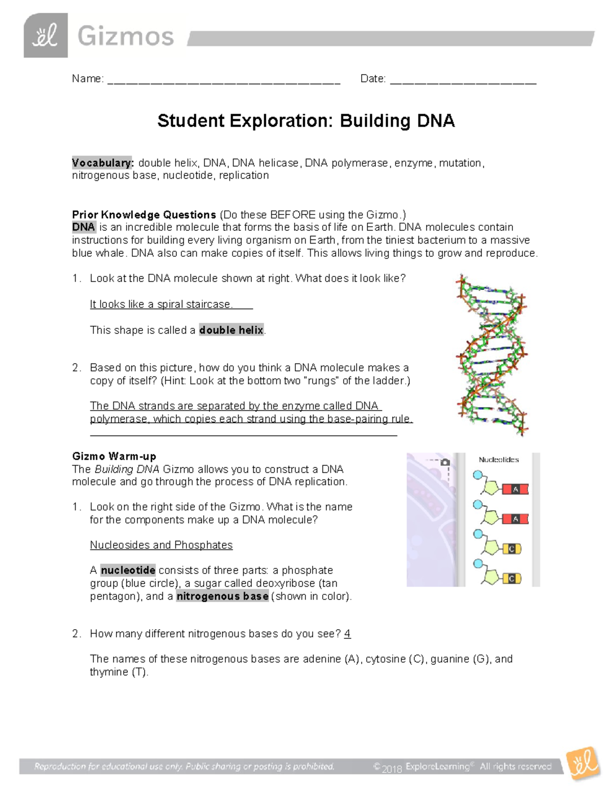 Building DNA Vocabulary & Replication Process - Student Exploration ...