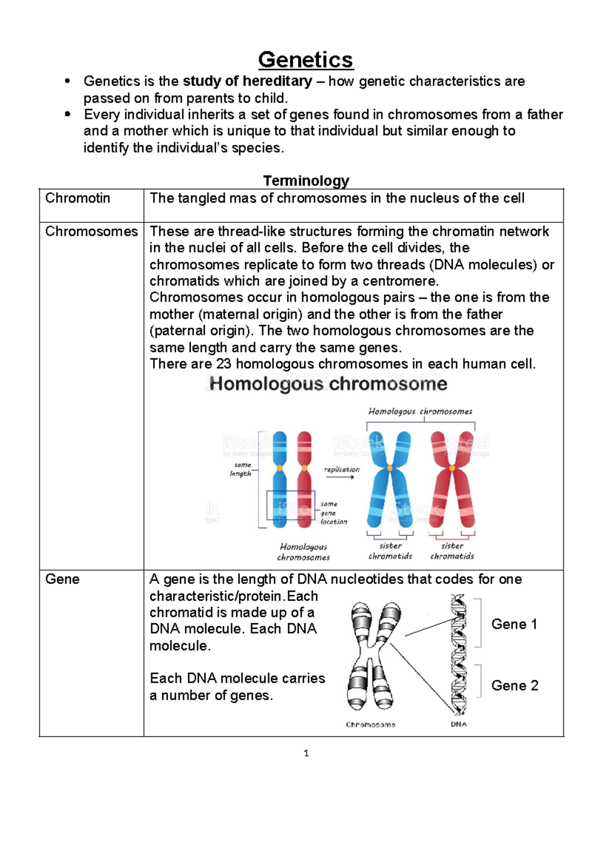 Genetics Study Notes for Grade 12: Key Concepts and Terminology - Studocu