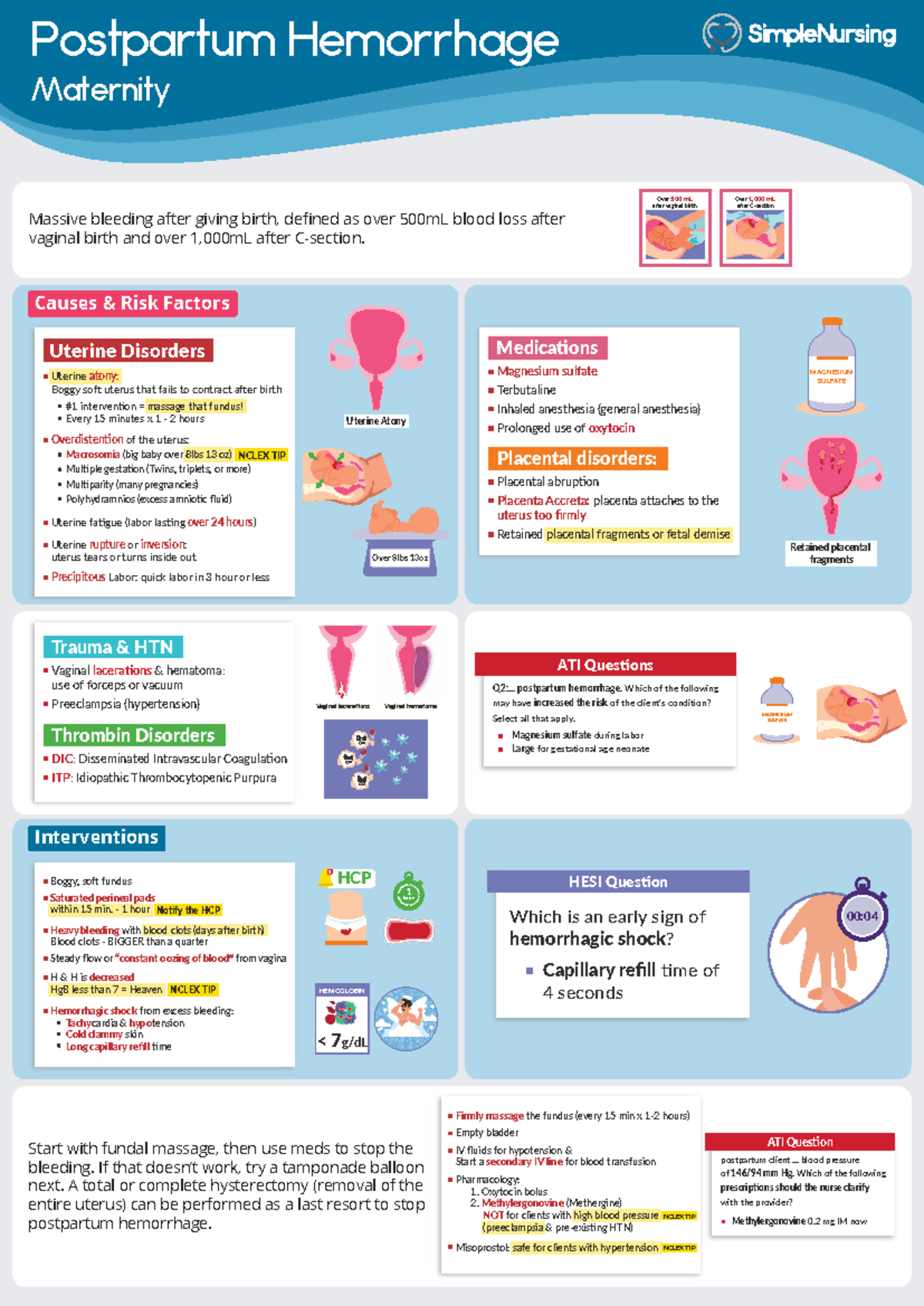 Postpartum Hemorrhage: Causes, Risk Factors, and Interventions (Nursing ...