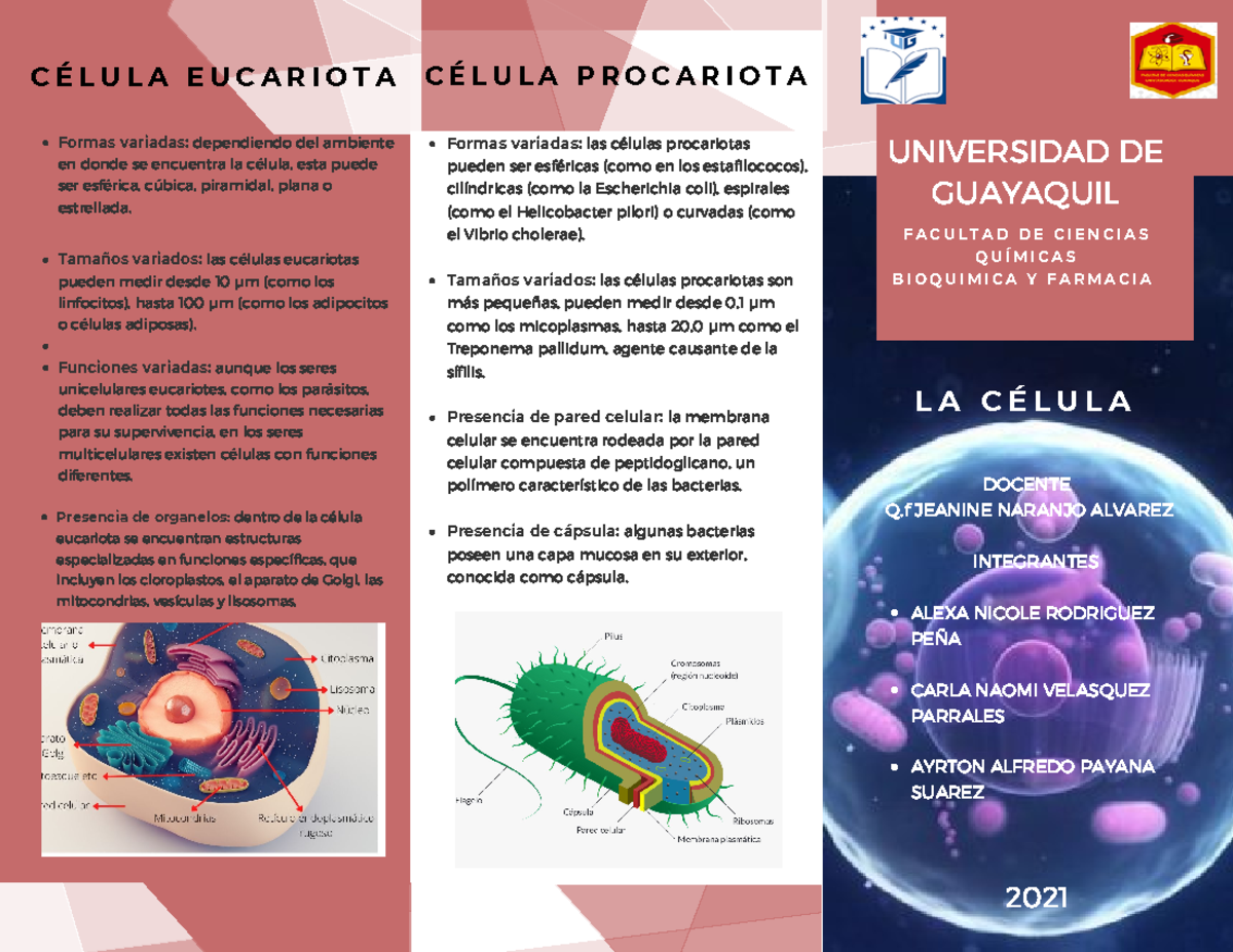 Biología 1 - Investigación sobre Organismos del Reino Monera - Studocu