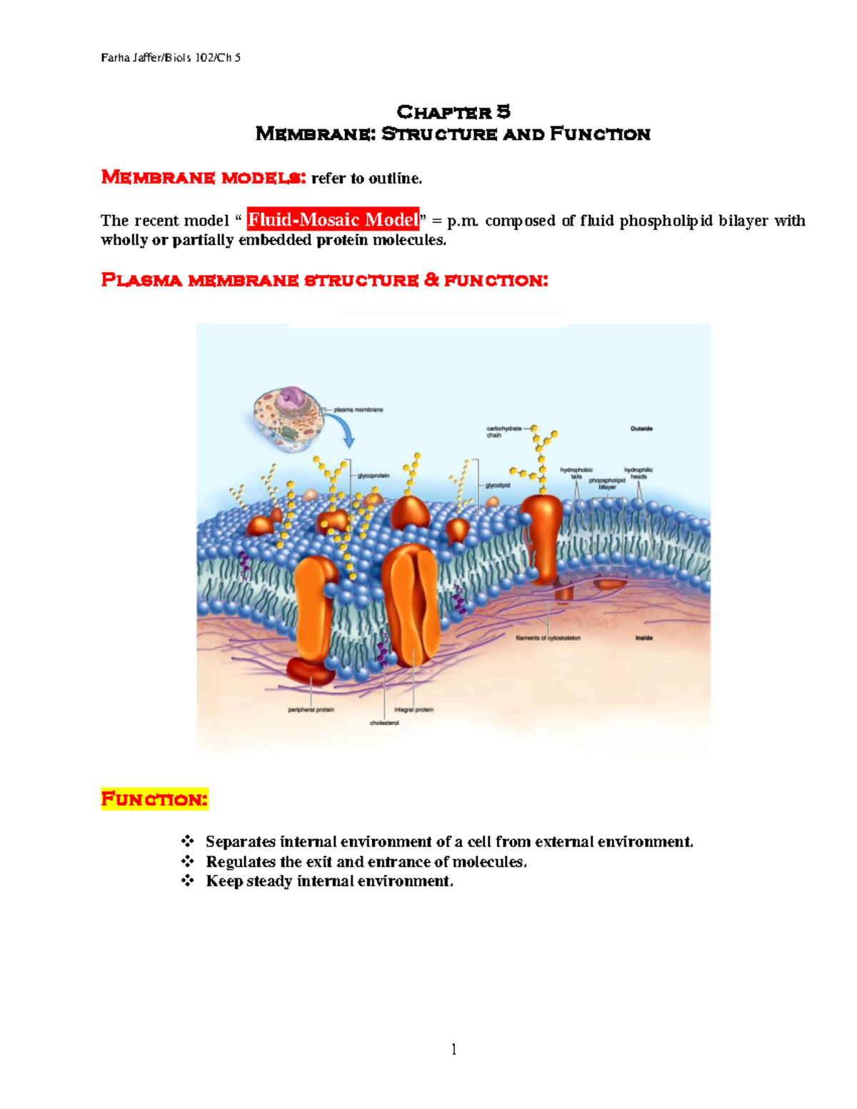 Chapter 5 - slides - Chapter 5 Membrane: Structure and Function ...
