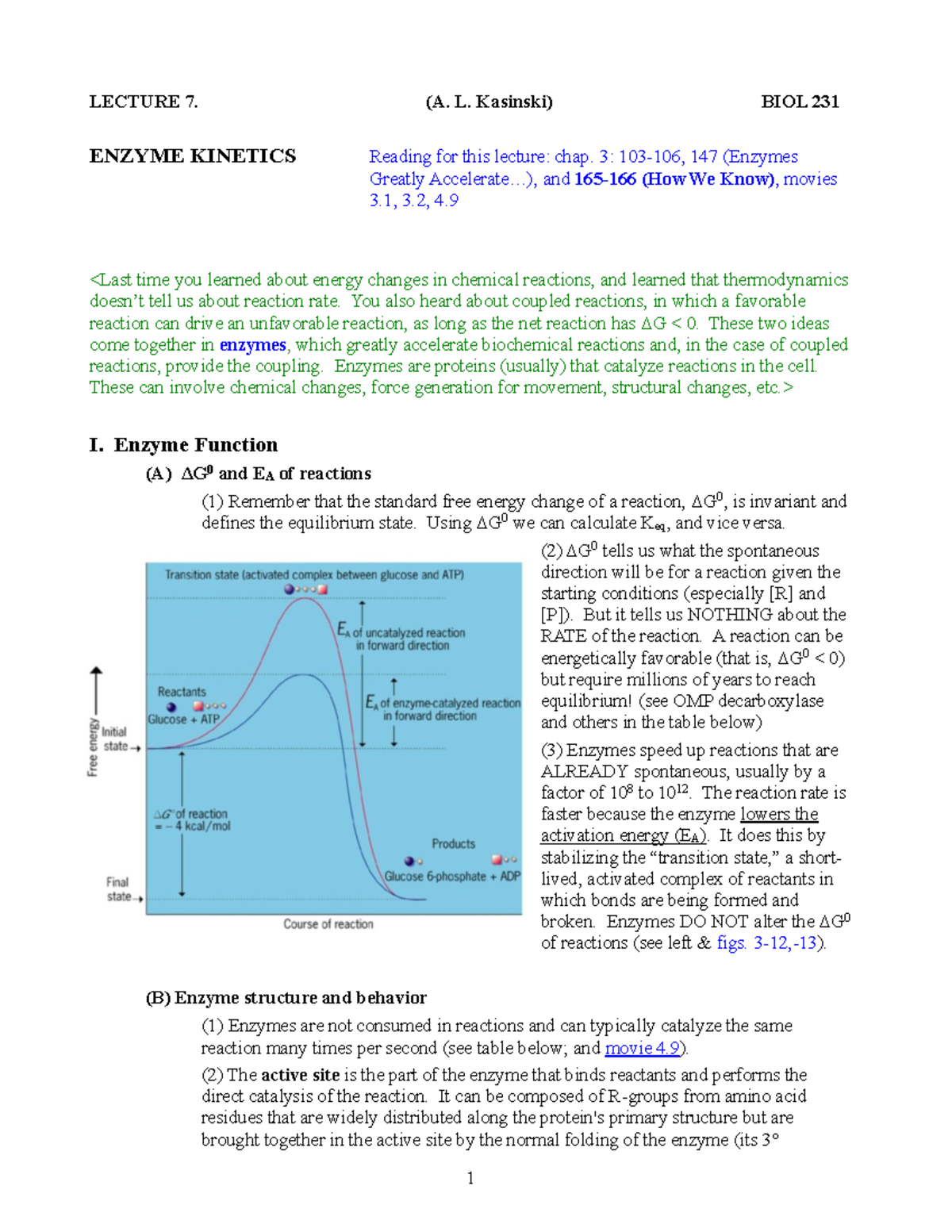 Enzyme Kinetics and Function: Lecture Notes for BIOL 231 - Studocu