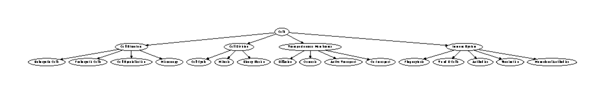 Cells Mind Map Cells Cell Structure - Thumb 1200 188 