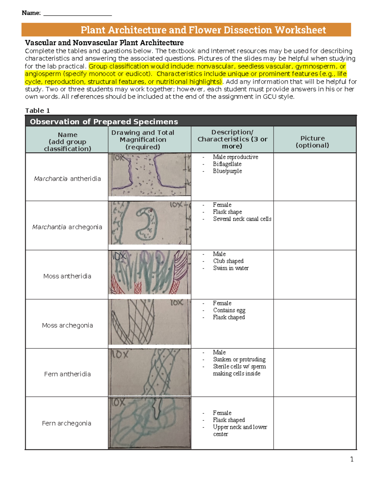 Week 4 ws - Worksheet week 4 about Plant architecture and flower ...