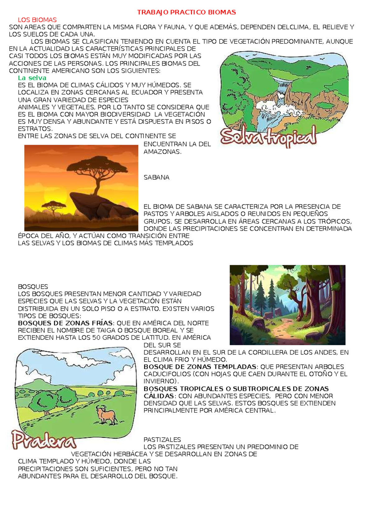 TRABAJO PRÁCTICO: LOS BIOMAS DE AMÉRICA Y SU CLASIFICACIÓN - Studocu
