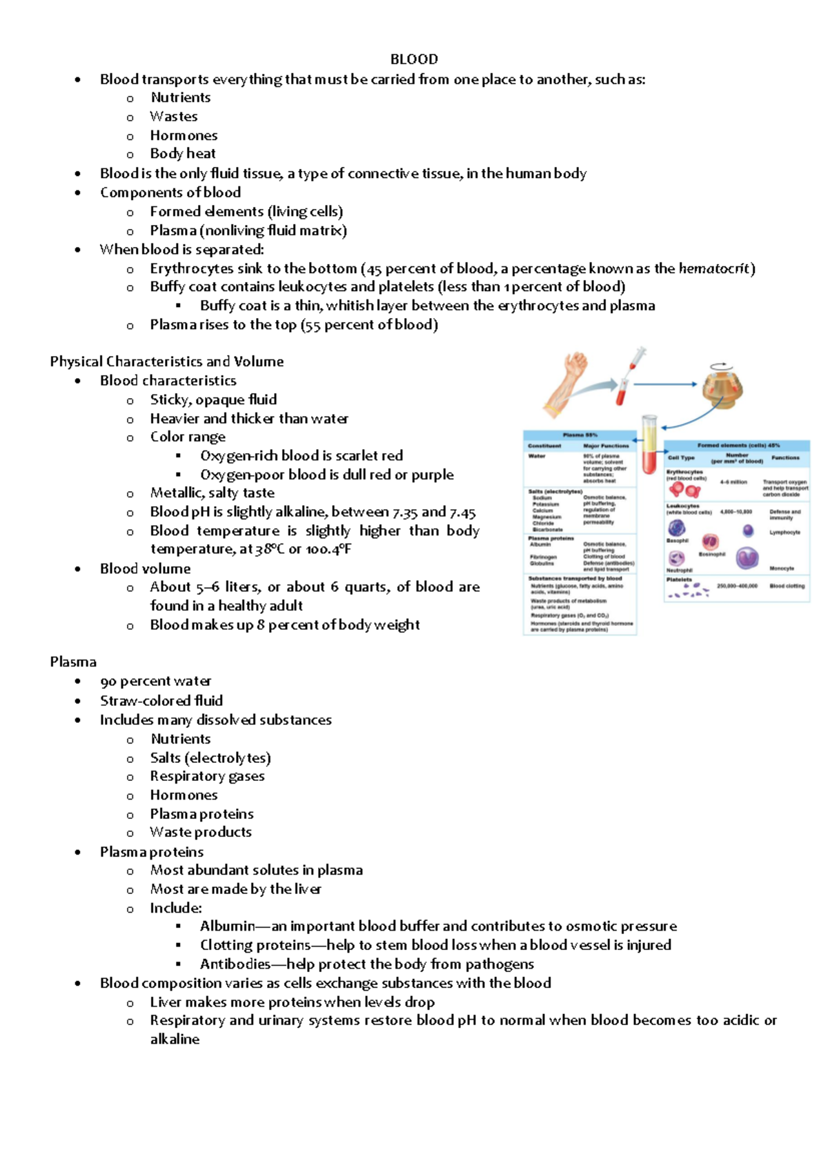 Blood, Cardiovascular, and Respiratory Systems Overview (BIO 101) - Studocu