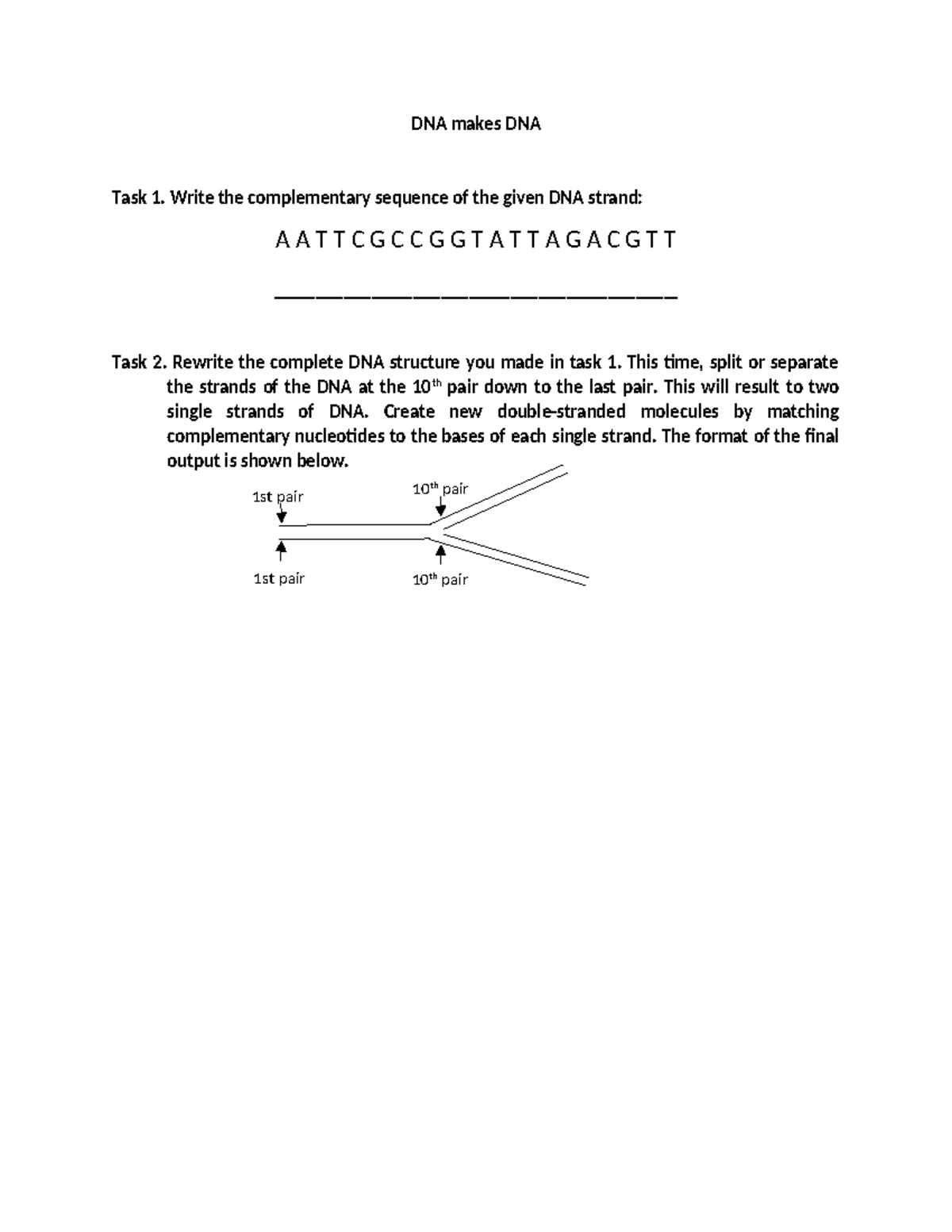DNA Replication Activity Sheet: Complementary Sequences & Structures ...