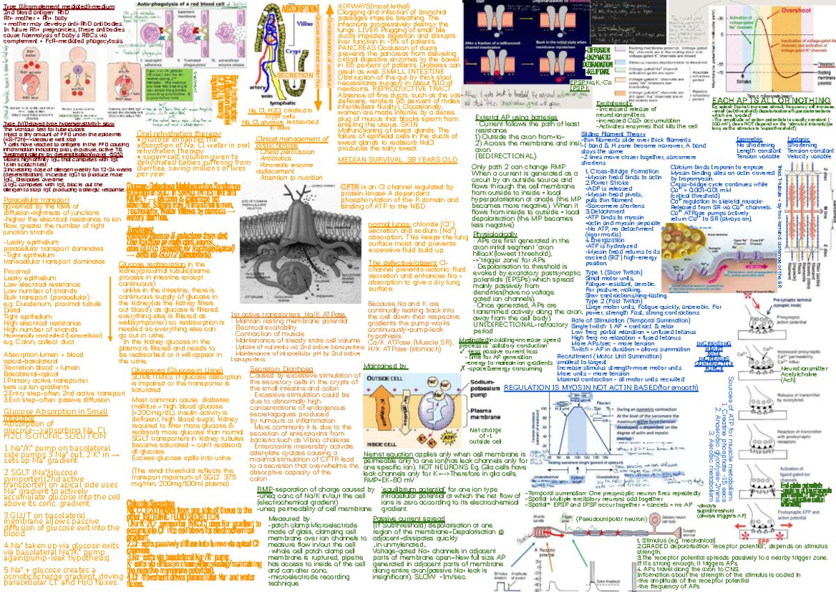 CST 101: Final Exam Cheat Sheet on Glucose Secretion & Physiology - Studocu