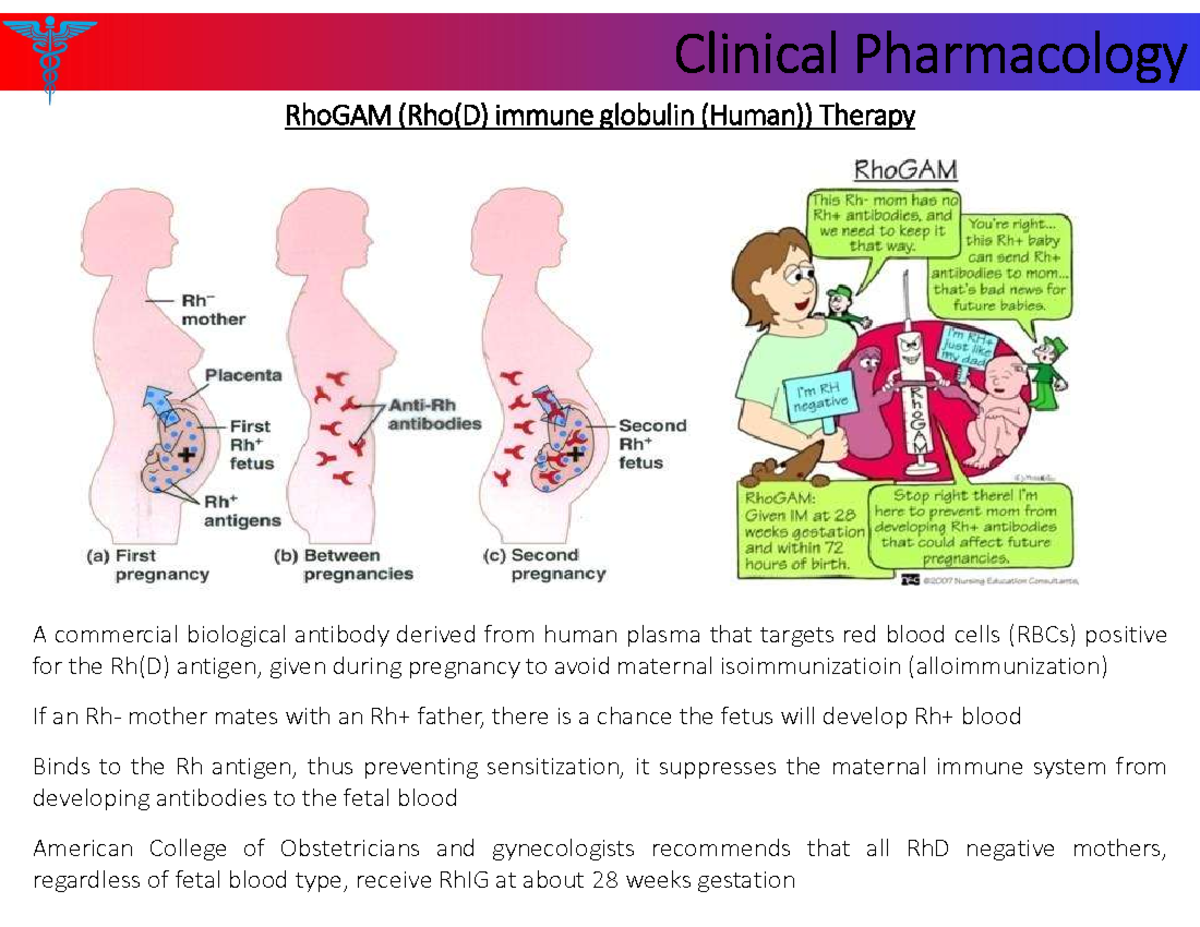 Clinical Pharmacology: RhIG and Complete Blood Count - Studocu