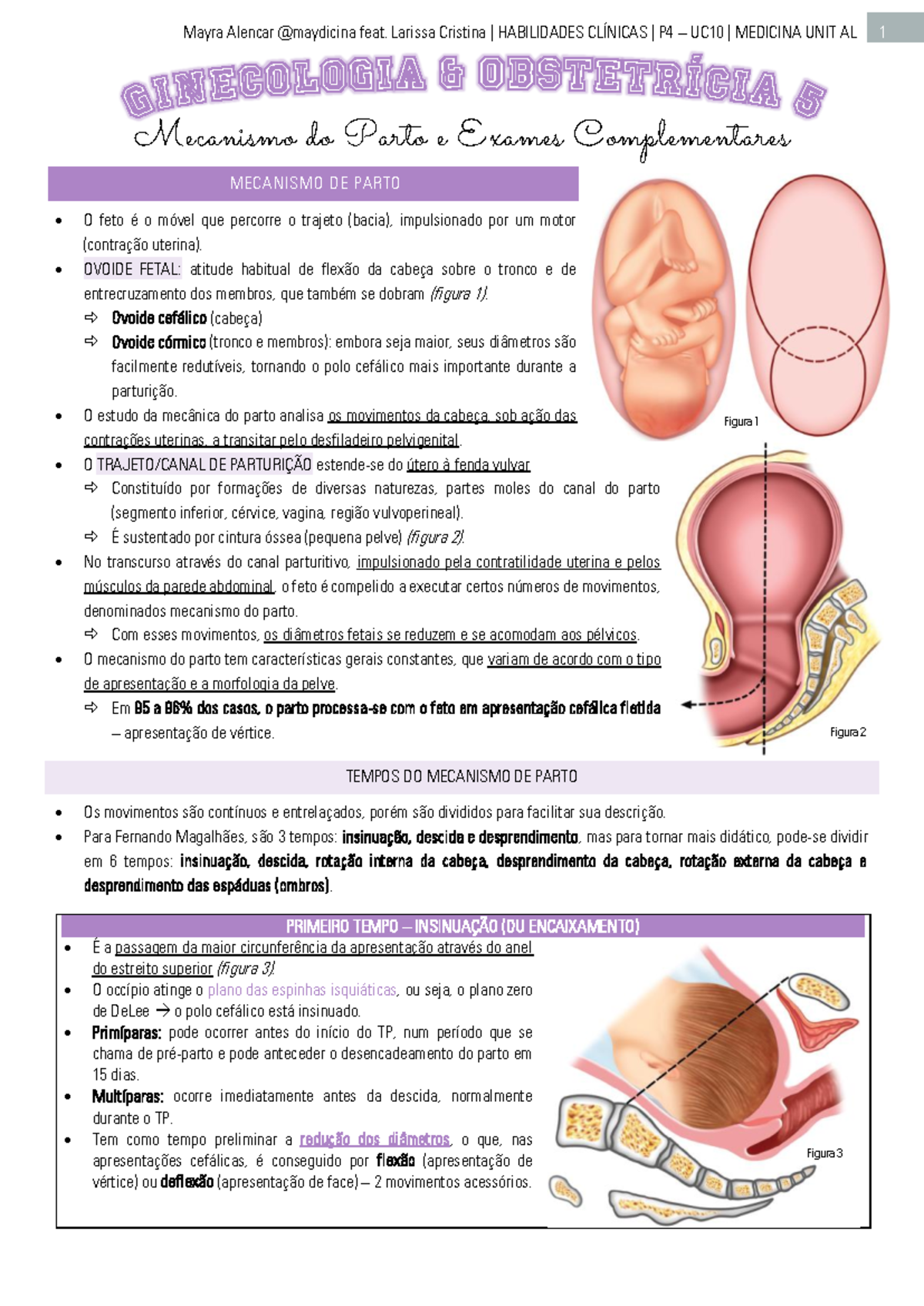 Clínicas 5 - UC10 - Mecanismos do Parto e Exames Ginecológicos - Document Preview