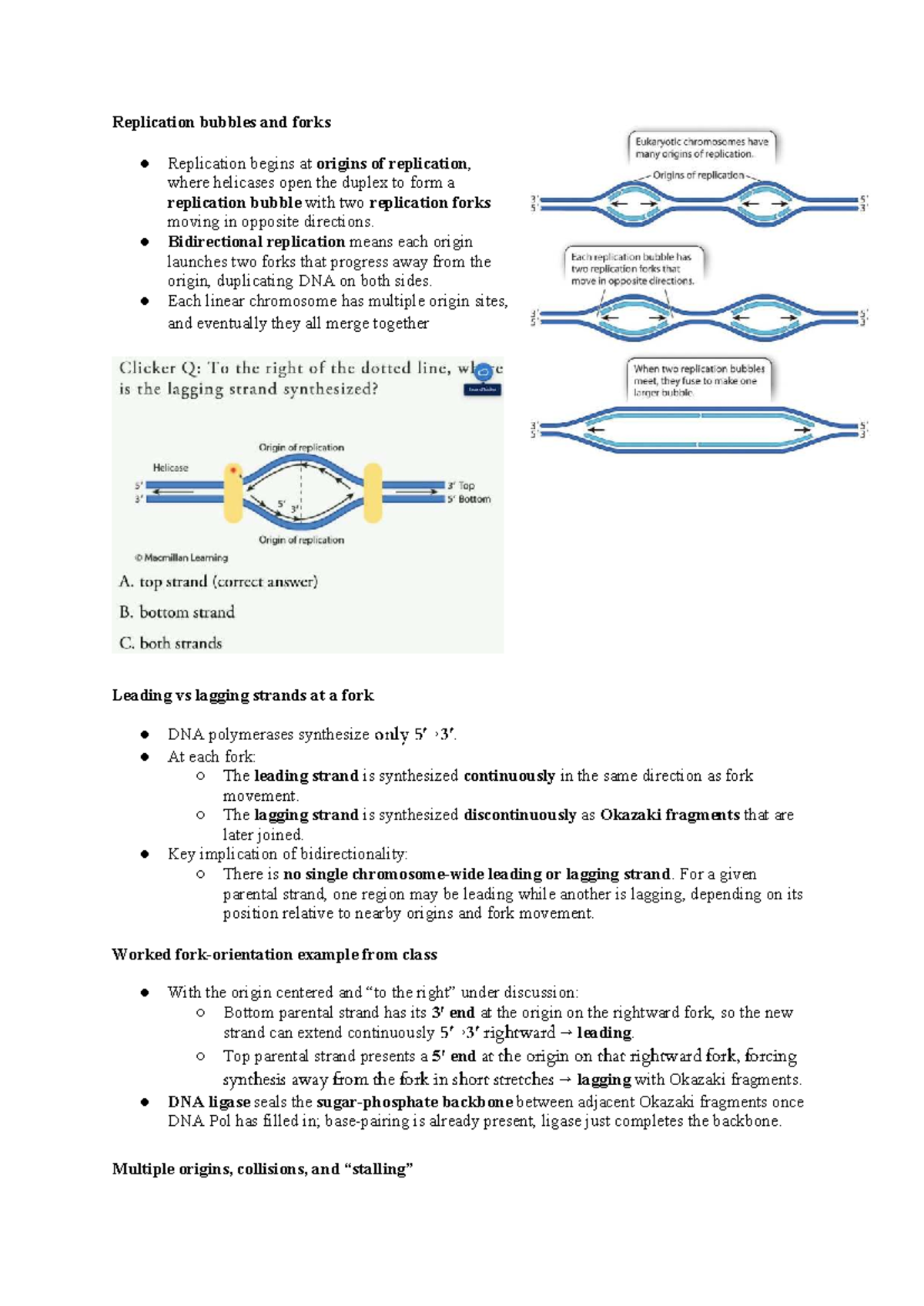BIOA01 MOD 2 Lecture 3: DNA Replication, Telomeres, and PCR Techniques ...