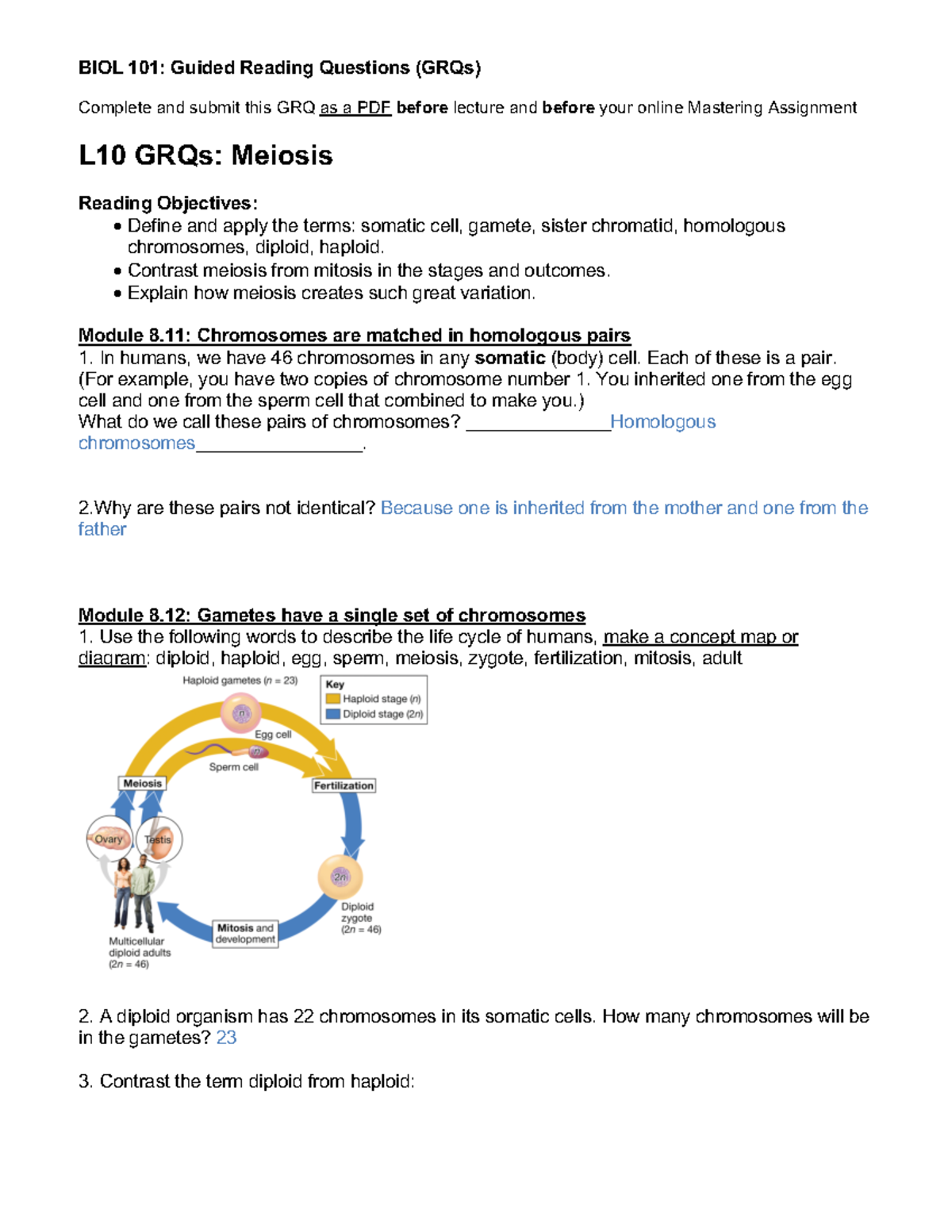 Lesson 10 GRQs: Understanding Meiosis and Genetic Variation - Studocu