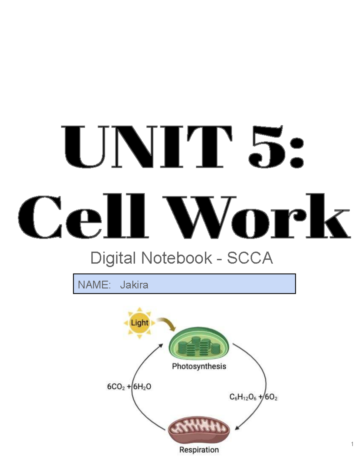 UNIT 5 Photosynthesis and Cellular Respiration Notes Studocu