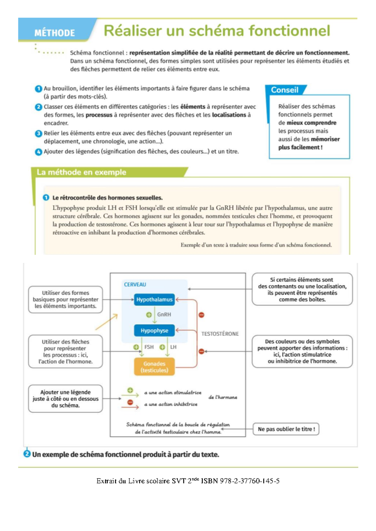 Fiche Méthode Schéma2024 - MÉTHODE Réaliser un schéma fonctionnel ...