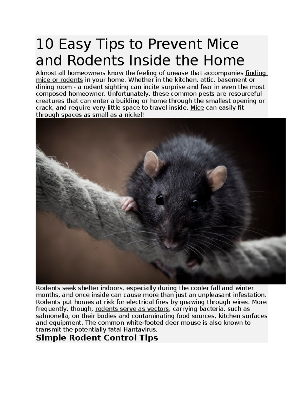 10 Easy Tips to Prevent Mice and Rodents Inside the Home - Whether in ...