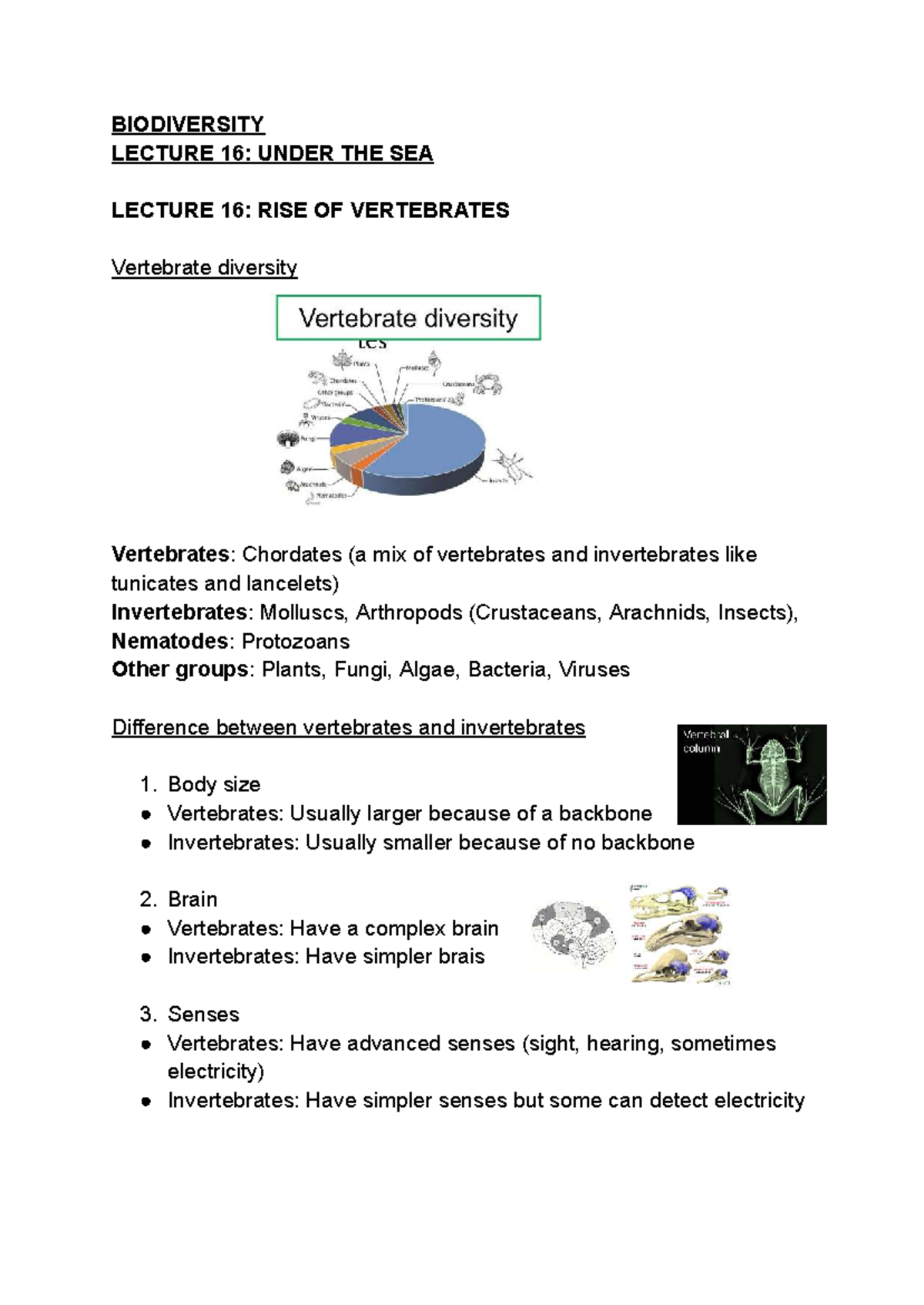 BIODIVERSITY LECTURE 16: RISE OF VERTEBRATES AND INVERTEBRATES - Studocu