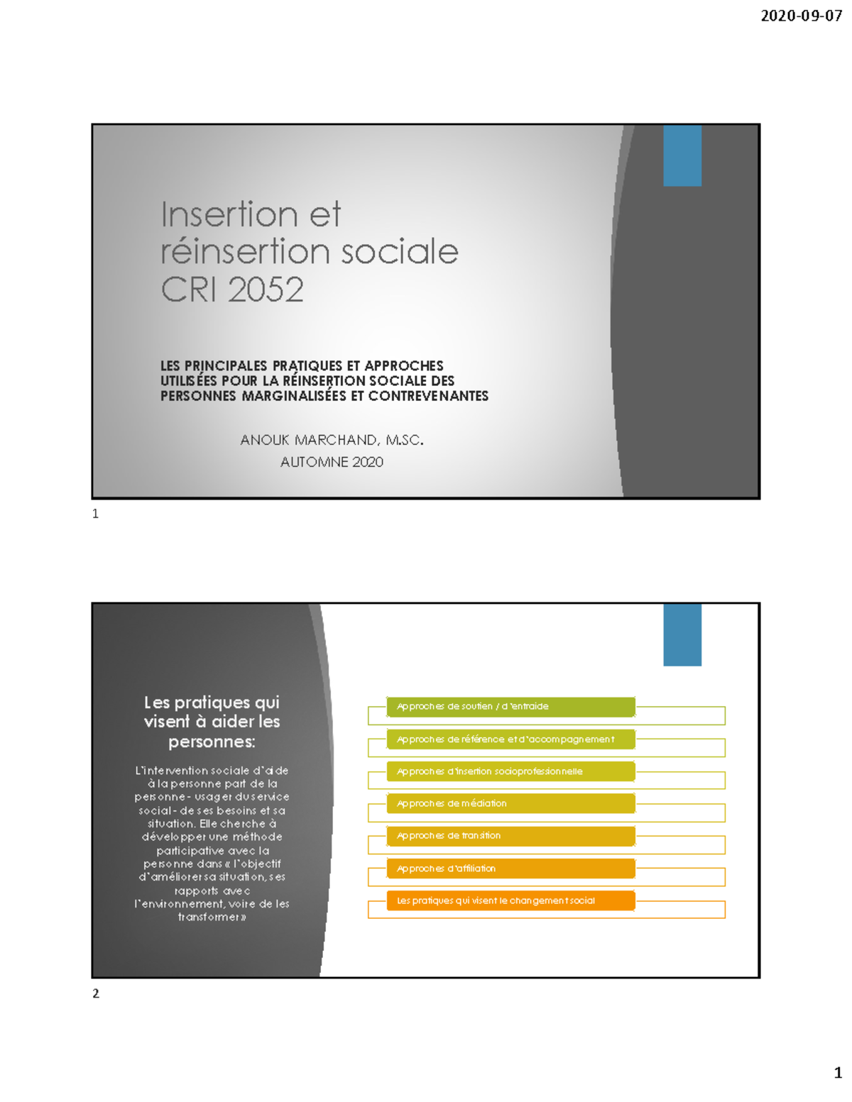 Pratiques et Approches de Réinsertion Sociale CRI 2052 - Studocu