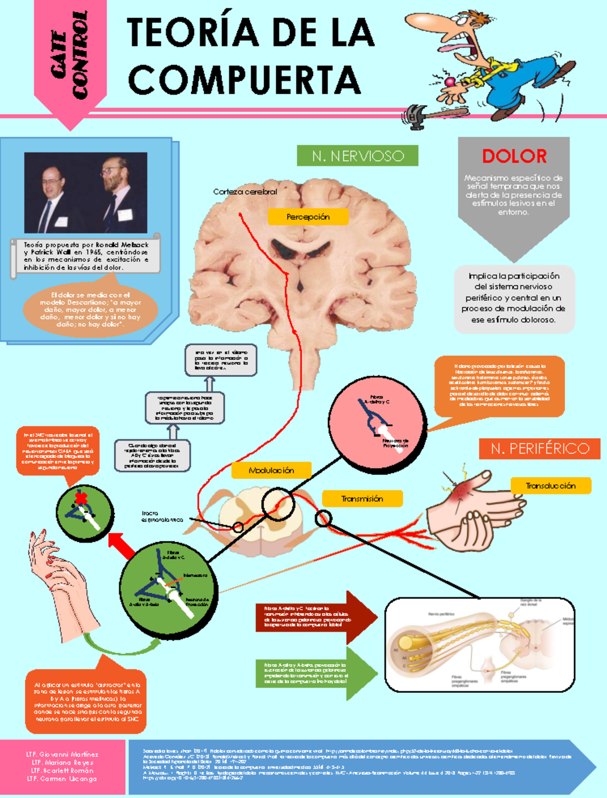 Teoría de la Compuerta (GATE CONTROL) - Mecanismos del Dolor - Document Preview