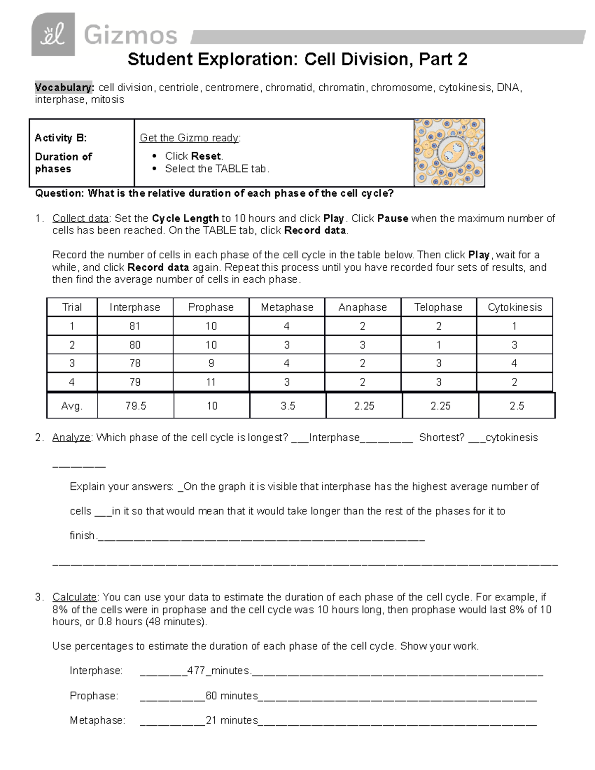Cell Division Gizmo 2021 Part 2 Student Exploration Cell Division