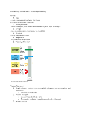 Biochemistry 101: Post-translational modification and protein sorting ...