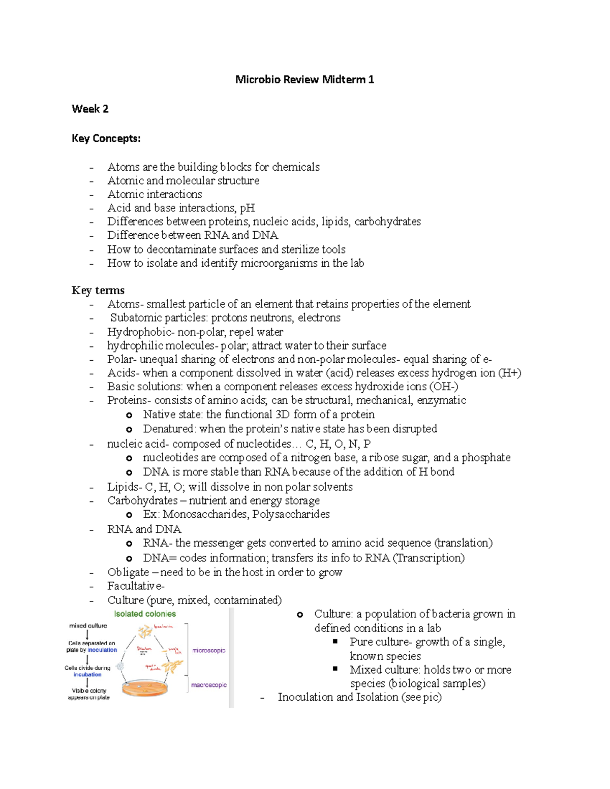 Microbiology Study Guide: Midterm 1 Review for Course BIO-101 - Studocu