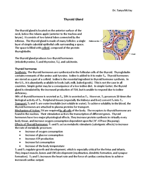 Anatomy and Functions of the Urinary System (BIO 101 Lecture Notes ...