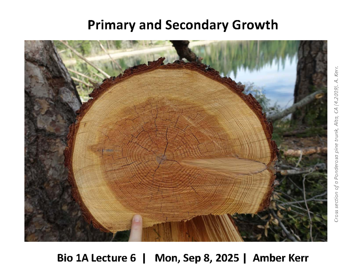 Bio 1A Lecture 6: Overview of Primary & Secondary Growth - Studocu
